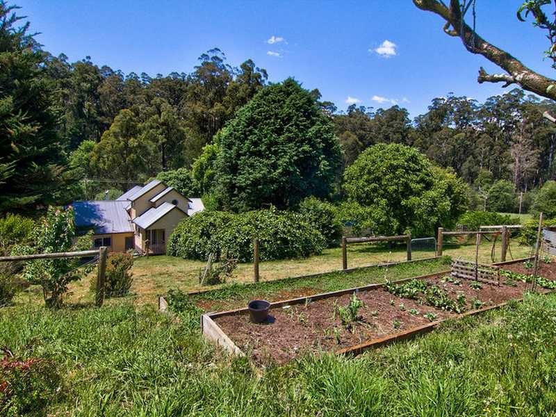 31 Harewood Park Road, Gembrook VIC 3783