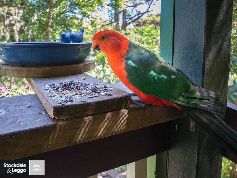 15 Carrama Court, Emerald VIC 3782