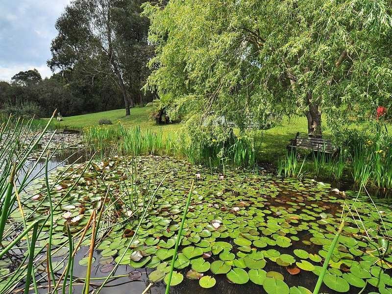 13 Cherry Road, Macclesfield VIC 3782