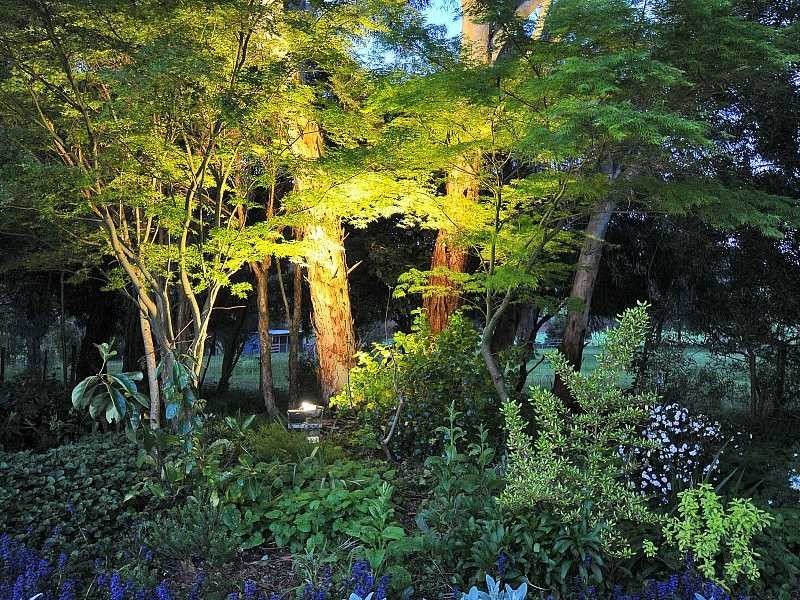 30 Maisey Road, Gembrook VIC 3783