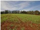 Lot 1 311 Ure Road, Gembrook VIC 3783