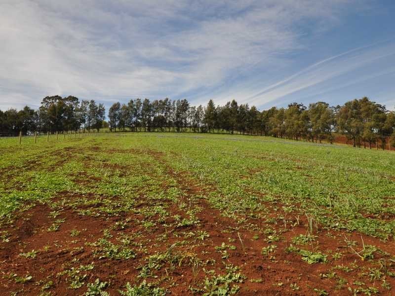 Lot 1 311 Ure Road, Gembrook VIC 3783