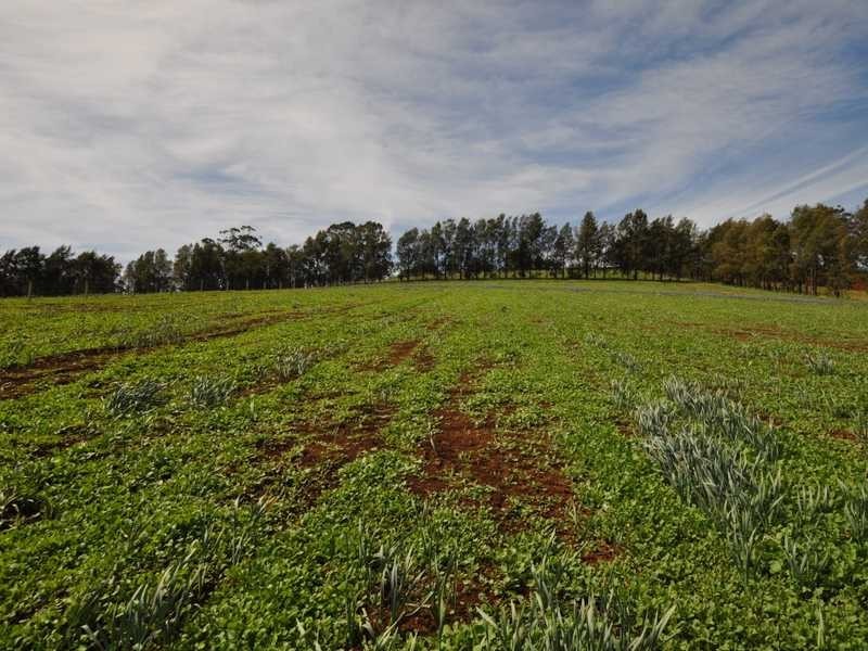 Lot 1 311 Ure Road, Gembrook VIC 3783