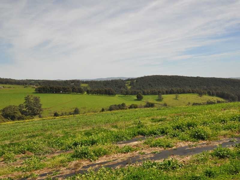 Lot 1 311 Ure Road, Gembrook VIC 3783