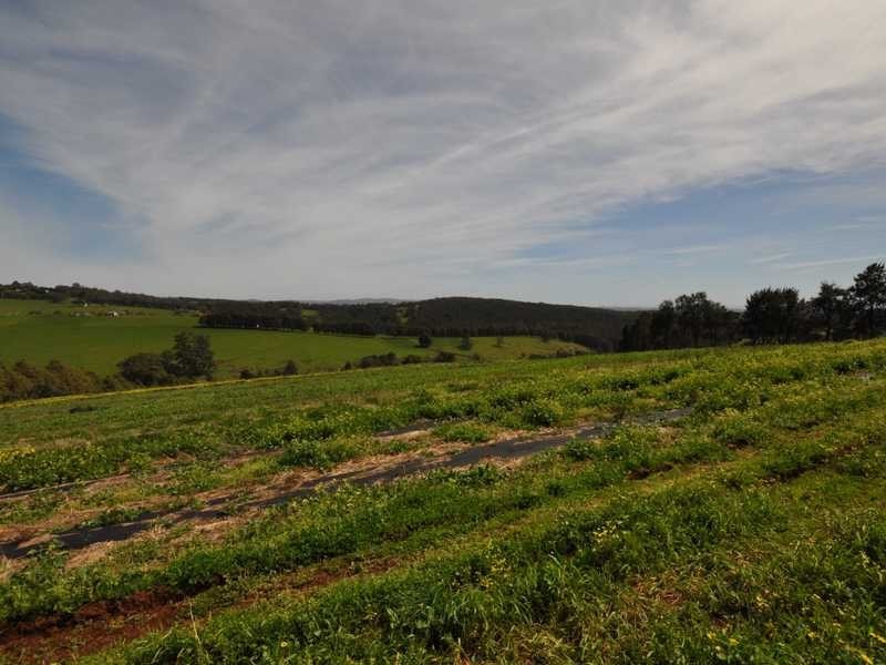 Lot 1 311 Ure Road, Gembrook VIC 3783