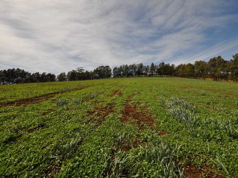 Lot 1 311 Ure Road, Gembrook VIC 3783