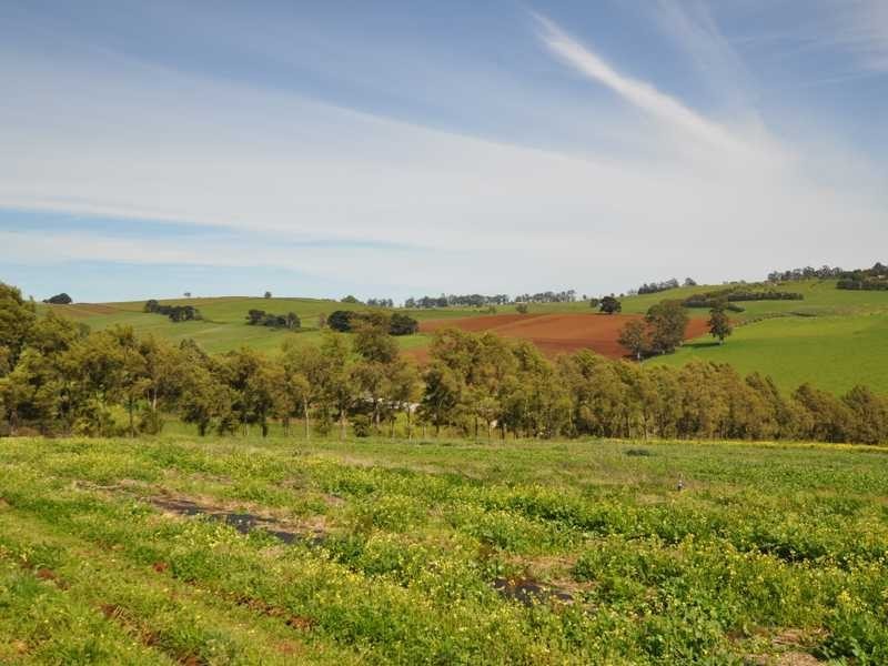 Lot 1 311 Ure Road, Gembrook VIC 3783