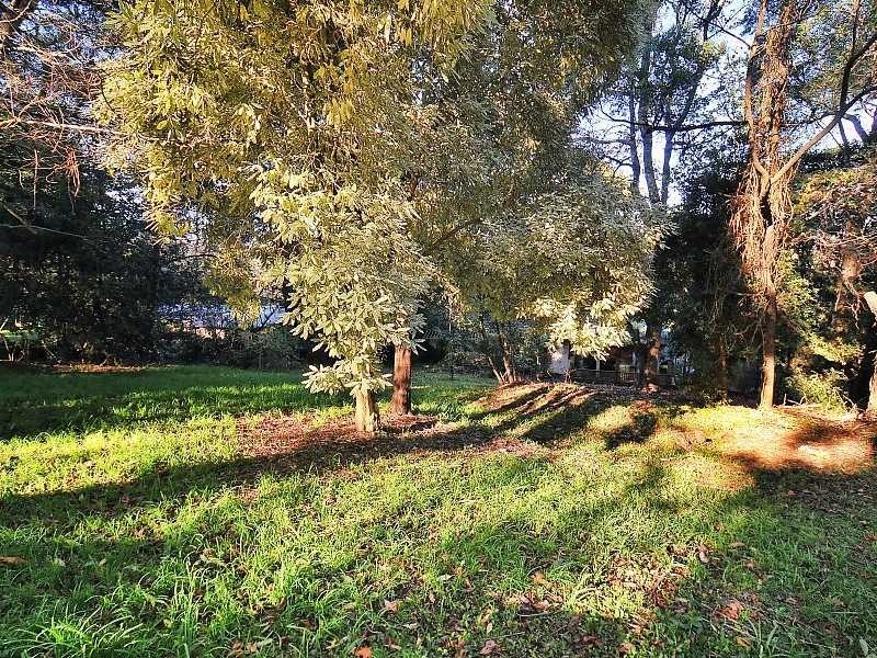 260 Belgrave Gembrook Road, Menzies Creek VIC 3159