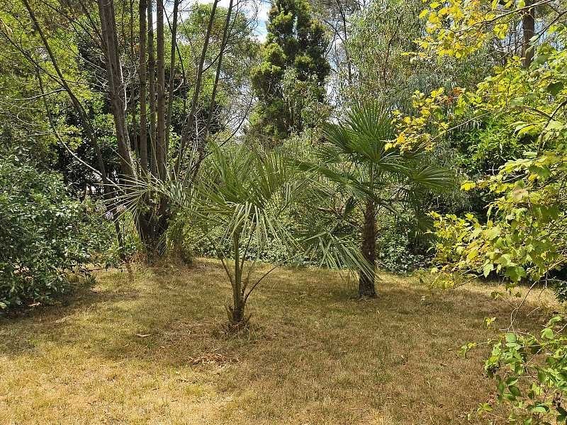 395 Evans Road, Cockatoo VIC 3781