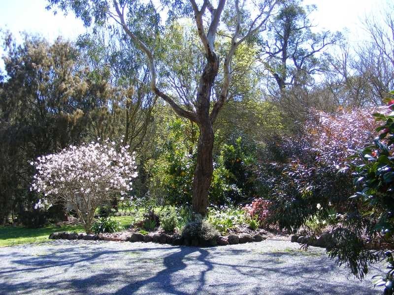 24 Mine Shaft Road, Macclesfield VIC 3782