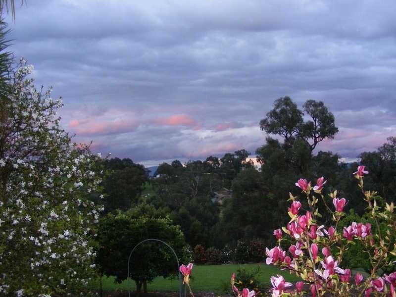 24 Mine Shaft Road, Macclesfield VIC 3782