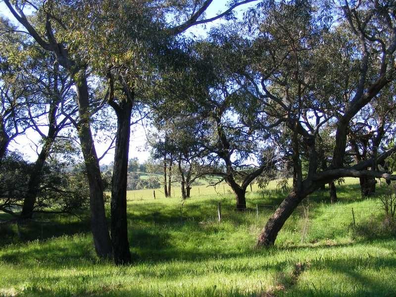 24 Mine Shaft Road, Macclesfield VIC 3782