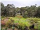 32 Paton Road, Macclesfield VIC 3782