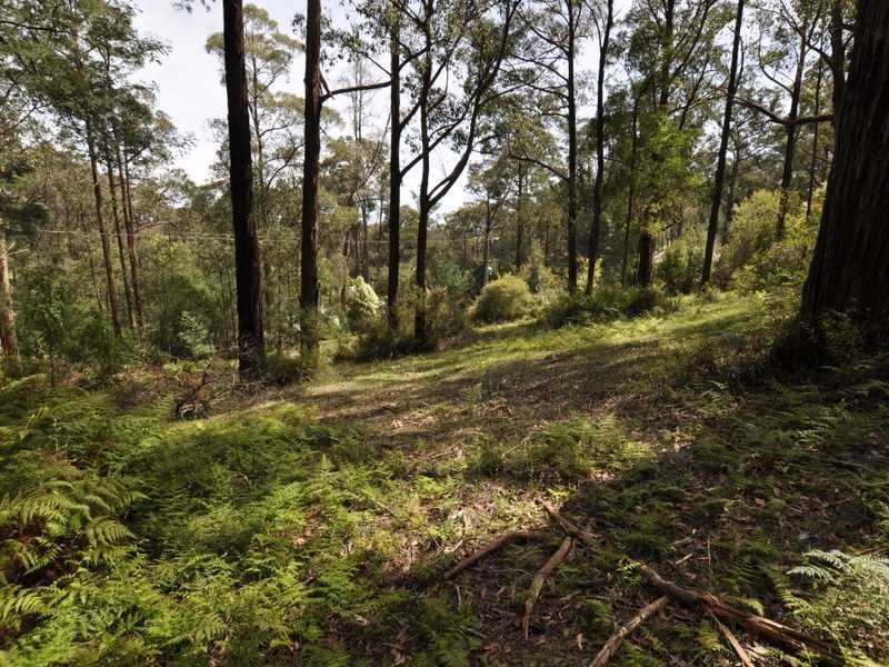 32 Fernglade Drive, Emerald VIC 3782