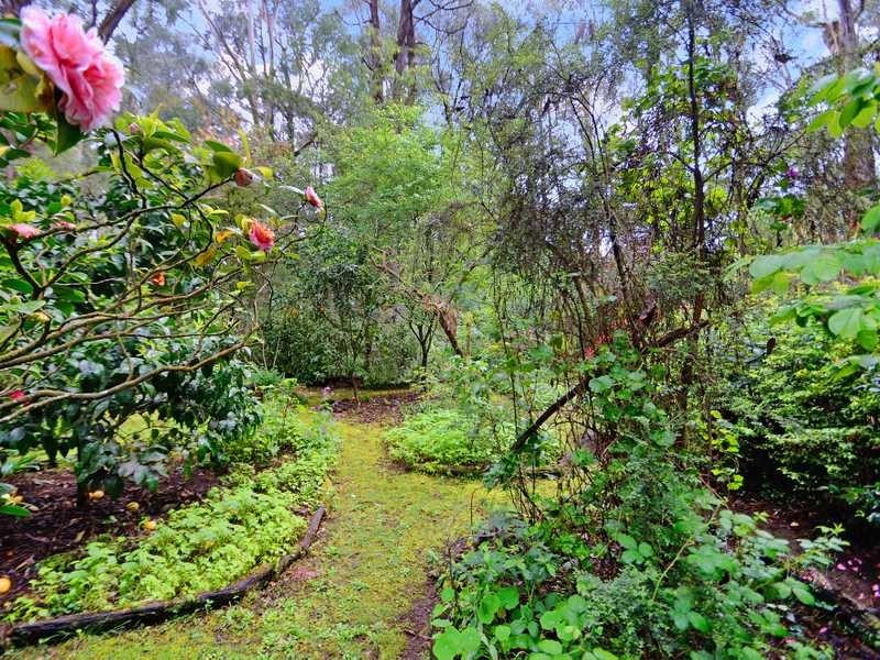 322 Belgrave-Gembrook Road, Emerald VIC 3782