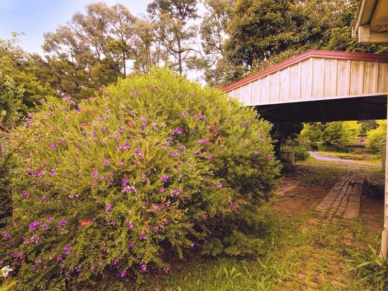7 Church Street, Emerald VIC 3782