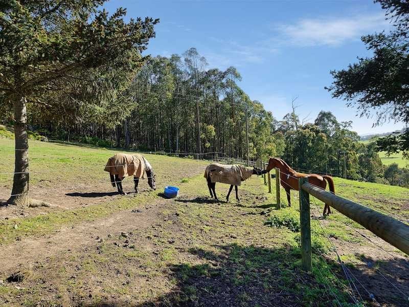 100 Evans Road, Cockatoo VIC 3781
