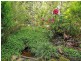 2004 Wellington Road, Clematis VIC 3782