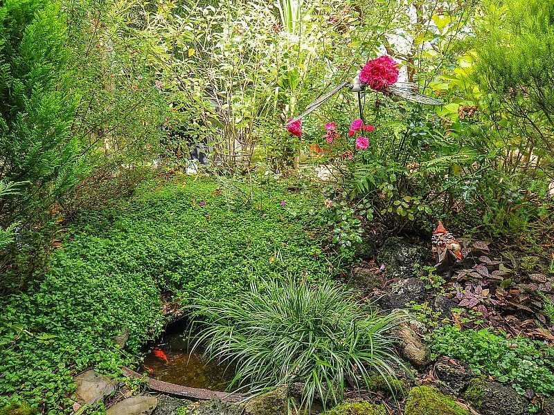 2004 Wellington Road, Clematis VIC 3782