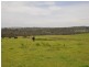 Lot 4 674 Macclesfield Road, Macclesfield VIC 3782