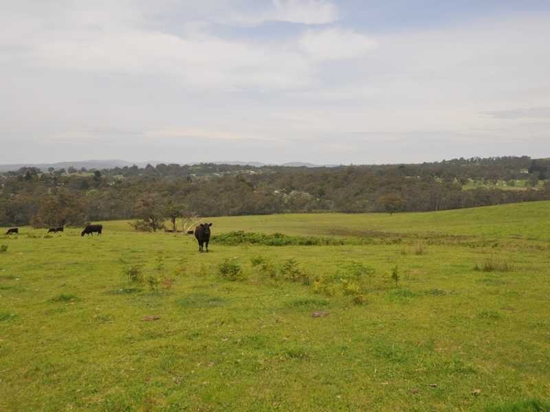 Lot 4 674 Macclesfield Road, Macclesfield VIC 3782