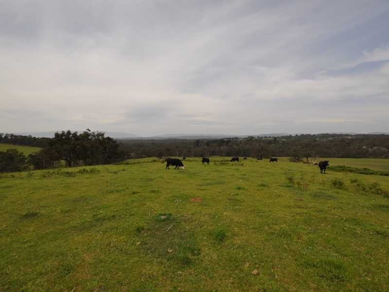Lot 4 674 Macclesfield Road, Macclesfield VIC 3782