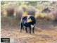 Lot 4 674 Macclesfield Road, Macclesfield VIC 3782