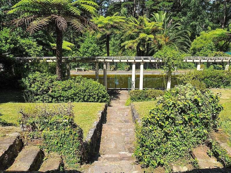 20 Sycamore Avenue, Emerald VIC 3782