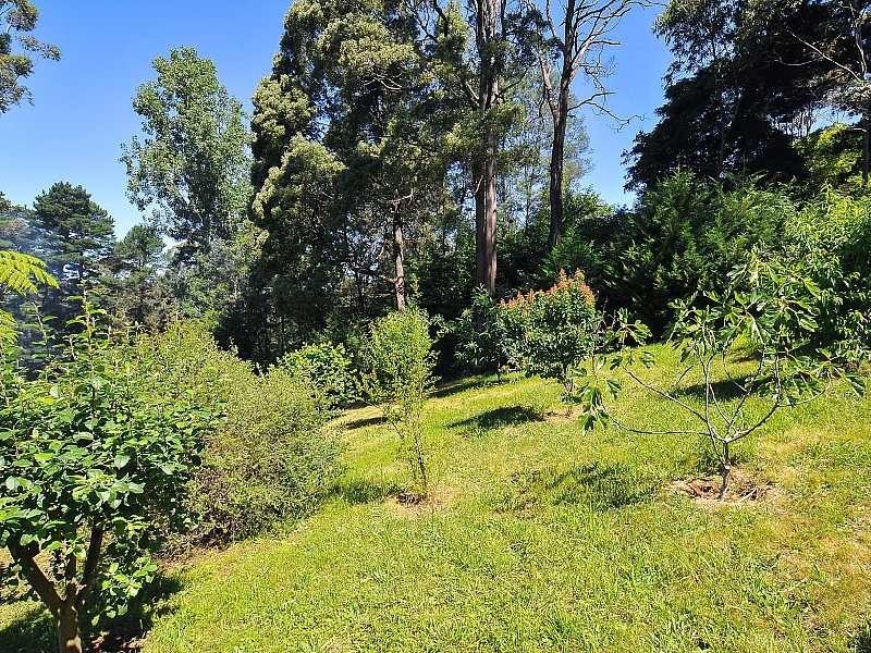 20 Sycamore Avenue, Emerald VIC 3782
