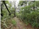 3 Agnes Street, Gembrook VIC 3783
