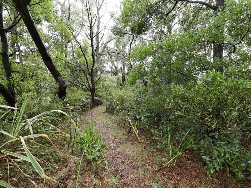 3 Agnes Street, Gembrook VIC 3783