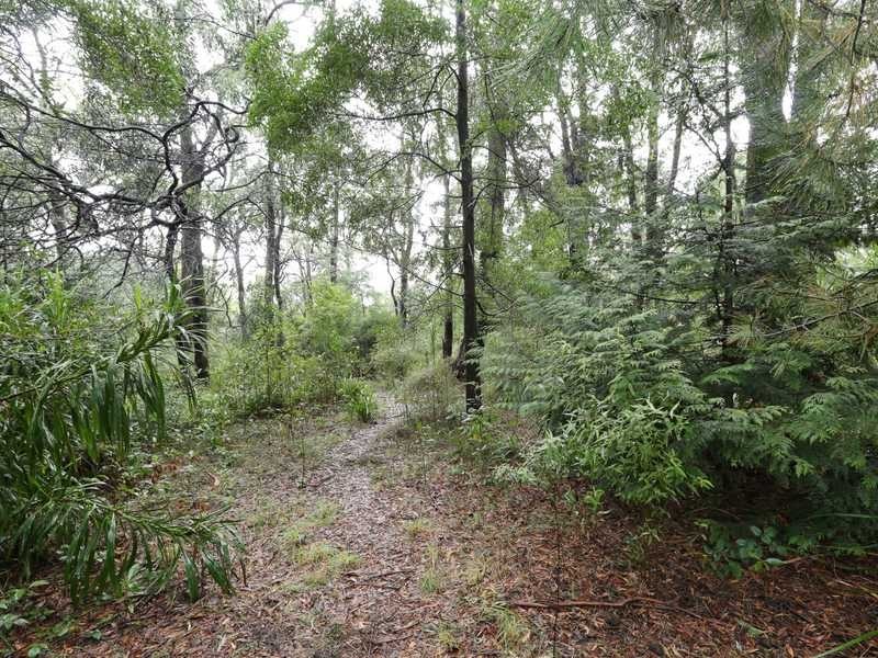3 Agnes Street, Gembrook VIC 3783