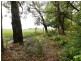 3 Agnes Street, Gembrook VIC 3783