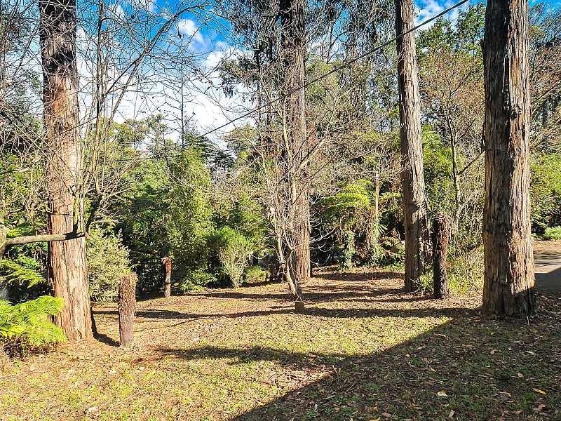 477 Belgrave Gembrook Road, Avonsleigh VIC 3782