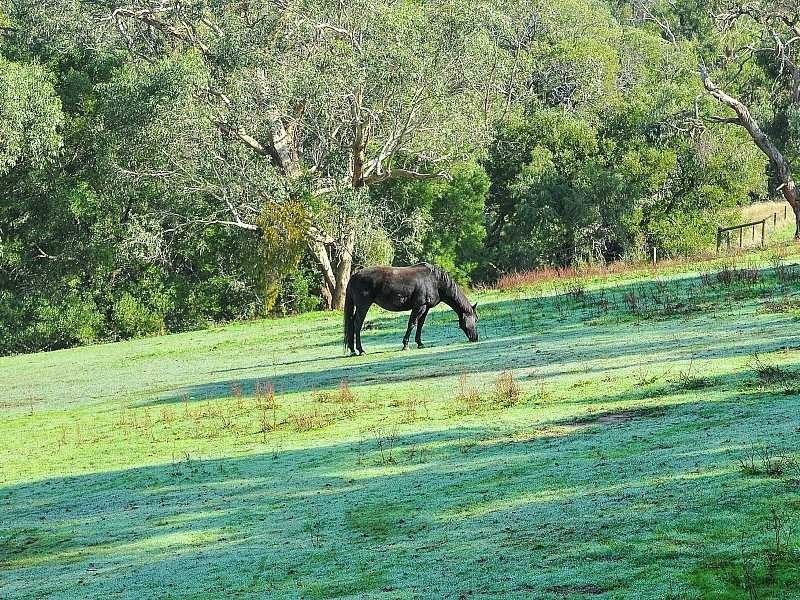 100 Old Menzies Creek Road, Selby VIC 3159