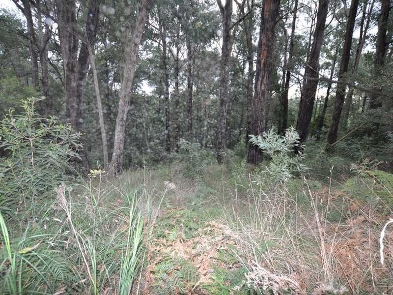 53 Mountain Road, Cockatoo VIC 3781