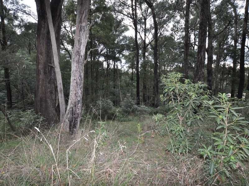 53 Mountain Road, Cockatoo VIC 3781