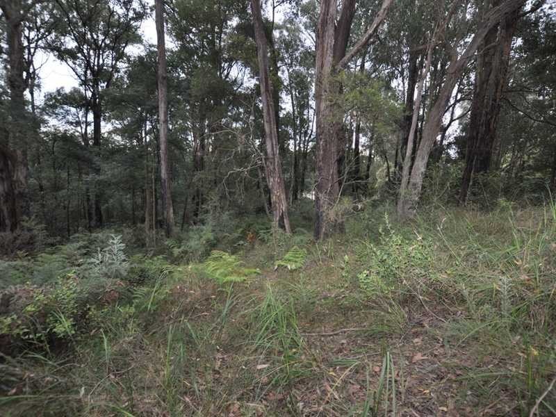 53 Mountain Road, Cockatoo VIC 3781