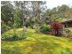 54 Kirkpatricks Road, Macclesfield VIC 3782