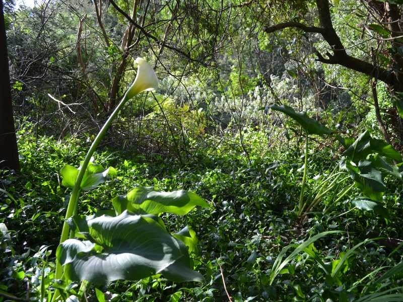 44 Donna Buang Road, Warburton VIC 3799