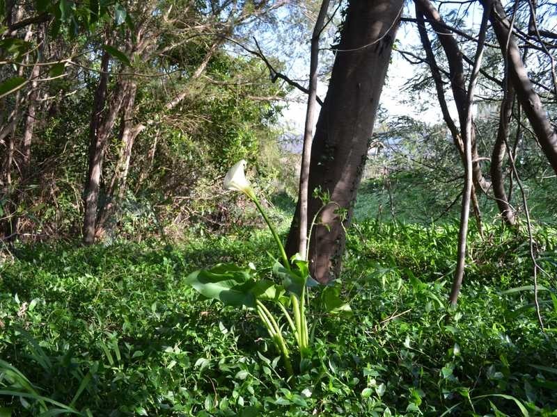 44 Donna Buang Road, Warburton VIC 3799