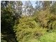 44 Donna Buang Road, Warburton VIC 3799