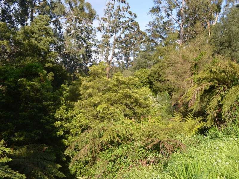 44 Donna Buang Road, Warburton VIC 3799