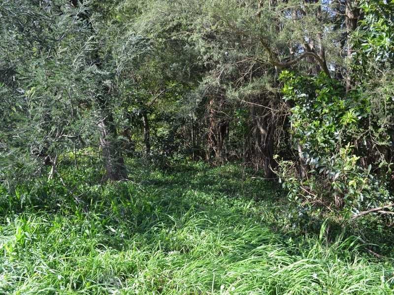 44 Donna Buang Road, Warburton VIC 3799