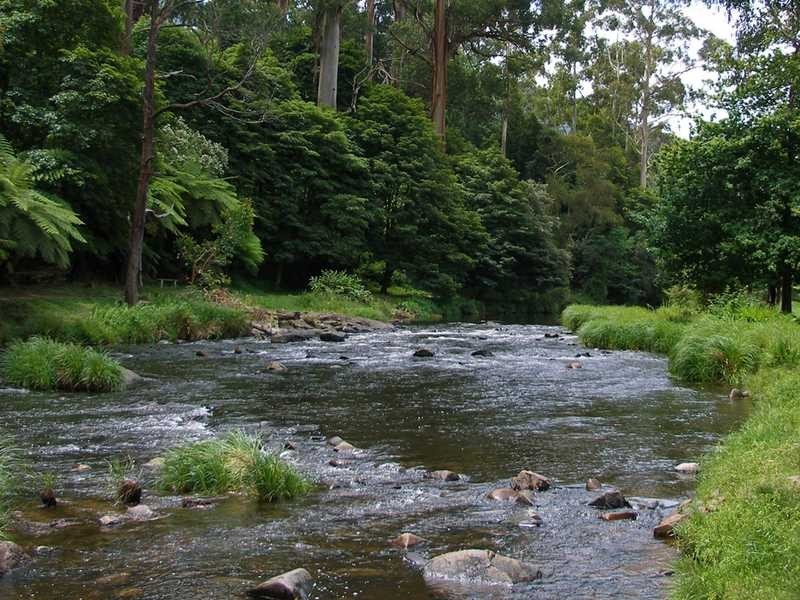 44 Donna Buang Road, Warburton VIC 3799