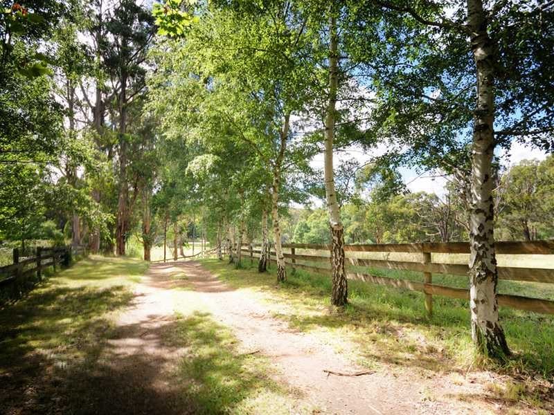 45 Correa Road, Yellingbo VIC 3139
