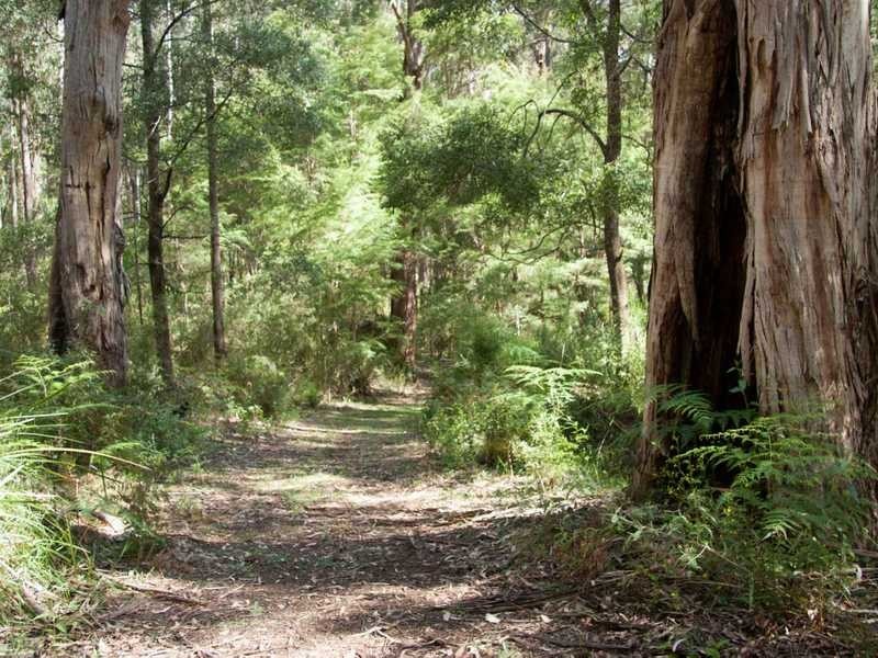 695 Beenak East Road, Gembrook VIC 3783