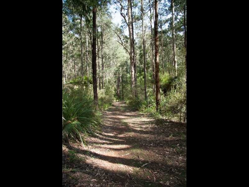 695 Beenak East Road, Gembrook VIC 3783