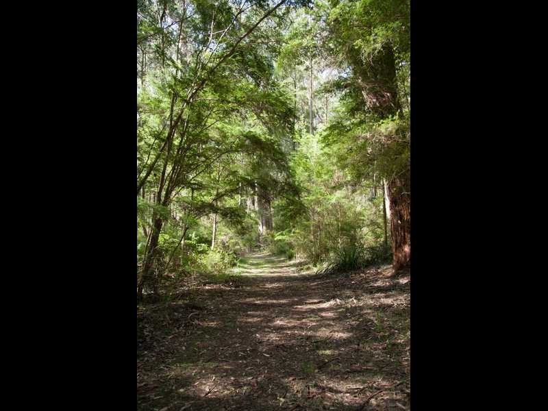 695 Beenak East Road, Gembrook VIC 3783