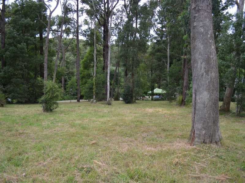 16 Haylock Avenue, Cockatoo VIC 3781